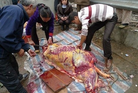 Mổ thịt cá mập, trăn khủng trên vỉa hè - 3 Xẻ thịt ngựa