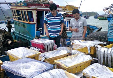 “Xử” thương lái nước ngoài gom thủy sản - 1 “Xử” thương lái nước ngoài gom thủy sản