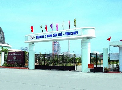 Quần quật cả năm để rồi gánh lỗ