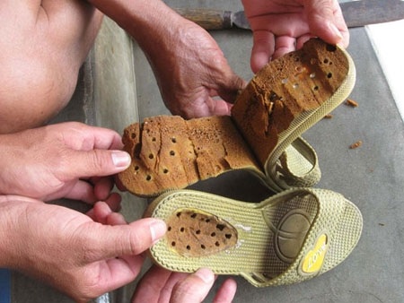 Đây là loại đĩa sứ in hình hoa hồng, mặt sau chiếc đĩa có chữ “Made in