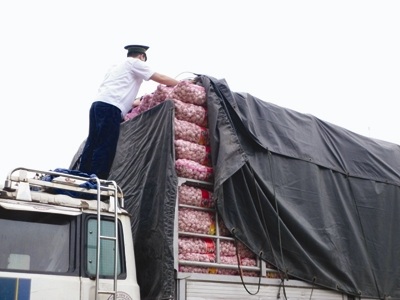 Nông, thủy sản Trung Quốc tràn ngập chợ - 2 Cán bộ kiểm dịch lấy mẫu tỏi kiểm tra ATTP ở cửa khẩu Tân Thanh (Lạng Sơn). Ảnh: Phạm Anh.