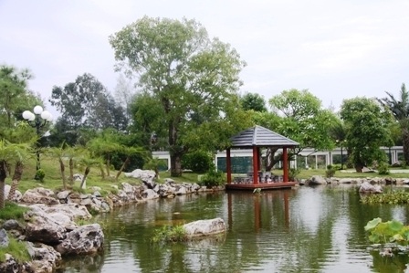 Khi “siêu cây” chết cùng... đại gia - 1 Khi “siêu cây” chết cùng... đại gia