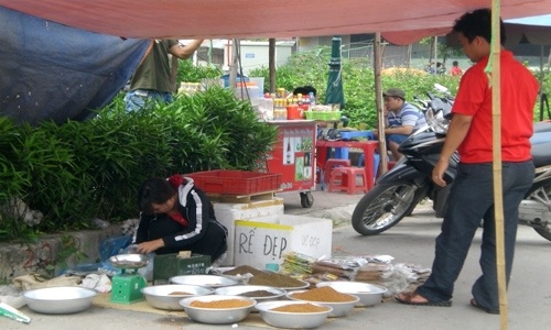 Kiếm sống từ dự án nghìn tỷ bỏ hoang - 6 Tại đây, người ta bán đủ loại hàng, từ dế đến thức ăn cho chim