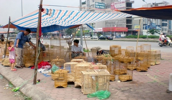 Kiếm sống từ dự án nghìn tỷ bỏ hoang - 7 Lồng chim các loại được bày bán la liệt.