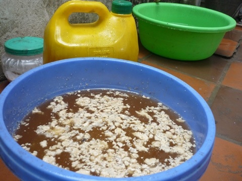 Người Hà Nội: Sáng phở thịt thối, trưa bún chả hóa chất - 1 Người Hà Nội: Sáng phở thịt thối, trưa bún chả hóa chất