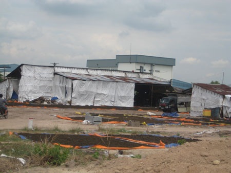 Giật mình với... bã trà tái chế! - 3 Theo