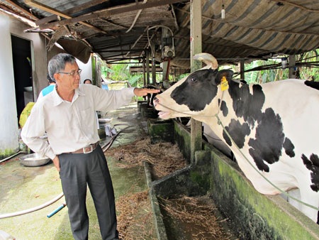 Ông Lê Văn Mống – Tổ trưởng một tổ hợp tác tự quản tại Củ Chi