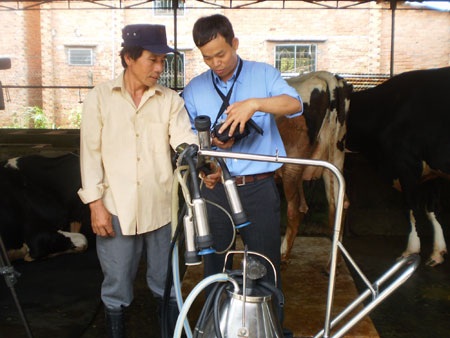 Mô hình mới phát triển ngành chăn nuôi bò sữa - 1 Chuyên viên khuyến nông của công ty FrieslandCampina Việt