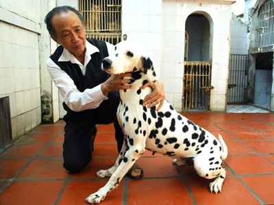 Bi hài đại gia bán chó, người nghèo cầm cố ... răng - 1 Chó cưng cũng phải đi ở đợ.