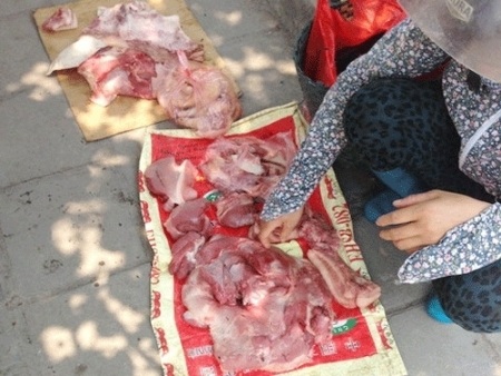 Đủ trò đầu độc thịt lợn từ khi nuôi tới lúc ăn - 2 Đủ trò đầu độc thịt lợn từ khi nuôi tới lúc ăn