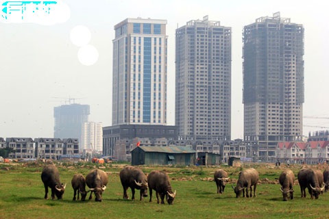 Thị trường chứng minh: Bất động sản bắt đầu đổ vỡ - 2 Người dân căng băng rôn tại trụ sở Công ty Minh Việt.