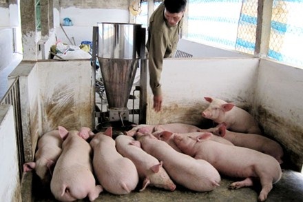 “Chúng tôi kiệt quệ rồi!”