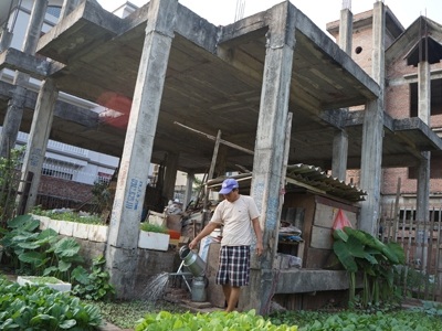 Biệt thự bỏ hoang sẽ xuống cấp, gây mất an toàn - 2 Nhà bỏ hoang được tận dụng để trồng rau