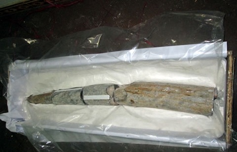 Những vật hóa thạch triệu đô tại Việt Nam - 1 Giám định niên đại, theo kết quả phân tích của Viện khảo cổ học Việt