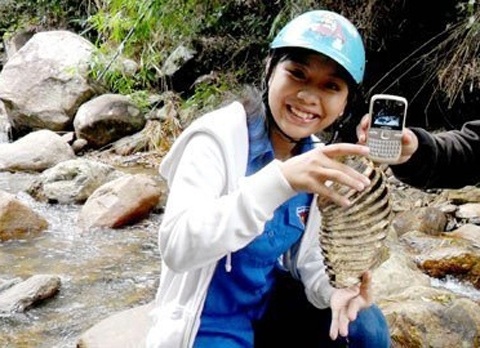 Những vật hóa thạch triệu đô tại Việt Nam - 5 Giám định niên đại, theo kết quả phân tích của Viện khảo cổ học Việt