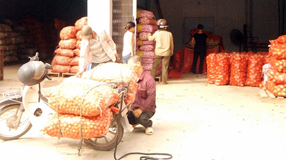 “Nhắm mắt” buôn nông sản Trung Quốc vì lãi khủng - 1 Nông sản Trung Quốc sẽ được vận chuyển đi khắp cả nước từ trạm trung chuyển Hòa Đình (Bắc Ninh)