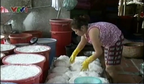 Làng nghề liêu xiêu vì tin bún bẩn - 1 Thông tin về bún có tẩm hoá chất độc hại cũng khiến nhiều cơ sở sản xuất bún điêu đứng.