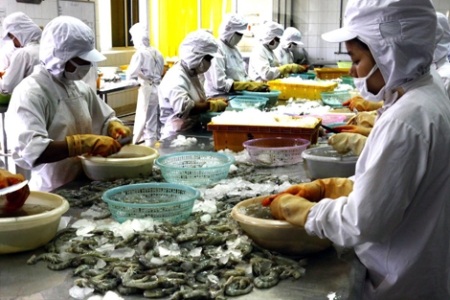 Mỹ công nhận Việt Nam không bán phá giá tôm