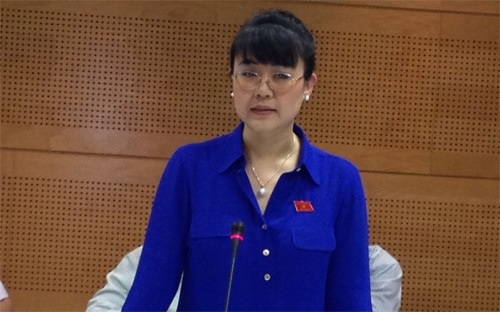 Doanh nhân làm nghị sỹ: Làm sao tròn cả hai vai?