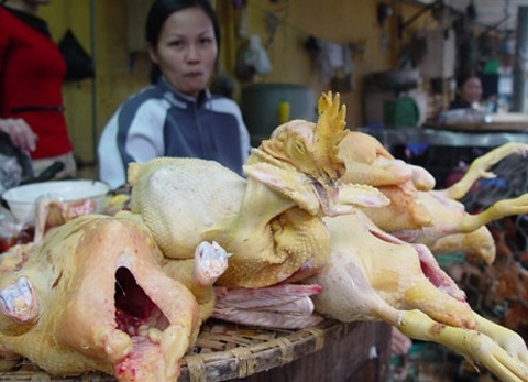 Bố nhậu lòng lợn thối, con ăm bim bim Trung Quốc