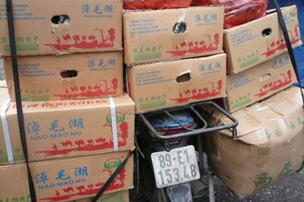 “Ma trận” hồng ngâm - 1 “Ma trận” hồng ngâm