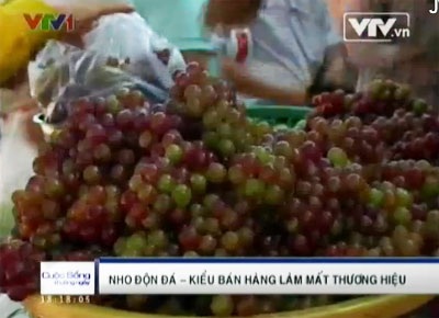 Độn đá vào nho Ninh Thuận, kiếm lợi chục triệu/tháng - 1 Kiểu bán hàng gian dối đang làm ảnh hưởng tới thương hiệu mặt hàng nho Ninh Thuận (Ảnh: VTV News)