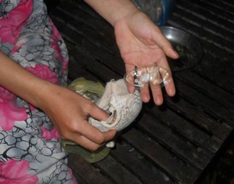 Những viên thuốc màu trắng phát hiện trong áo ngực hiệu Trung Quốc