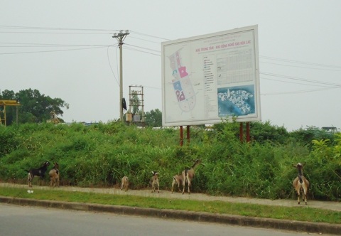 Bản quy hoạch tổng thể khu trung tâm công nghệ cao Hòa Lạc.