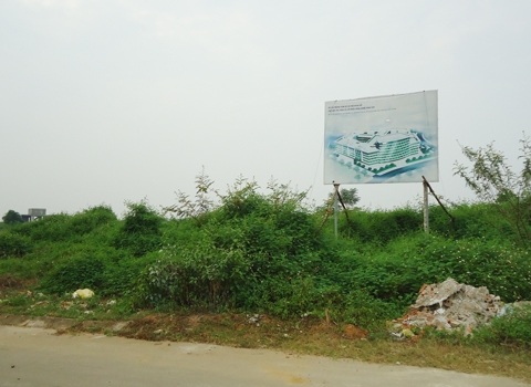 Cỏ mọc gần đến thân biển quy hoạch dự án nội dung số - Công ty cổ phần công nghệ Tinh Vân.