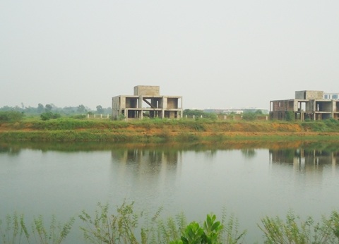 Hai khu nhà hoang cỏ mọc um tùm không rõ lối đi vào.