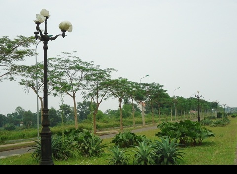 Cánh cổng của ngân hàng này chưa bao giờ mở để người dân vào thực hiện giao dịch.