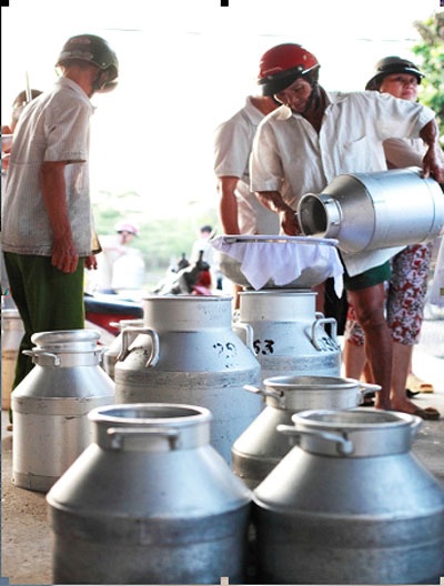 Quả ngọt sau 17 năm đầu tư cho sữa tươi đạt “chuẩn” - 3 Nông dân bên trại bò sữa của mình (Củ Chi)