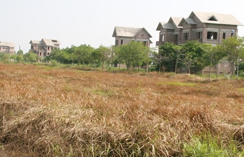 Hầu hết các dự án đô thị mới khu vực Mê Linh hiện tại đều trong tình trạng bỏ hoang