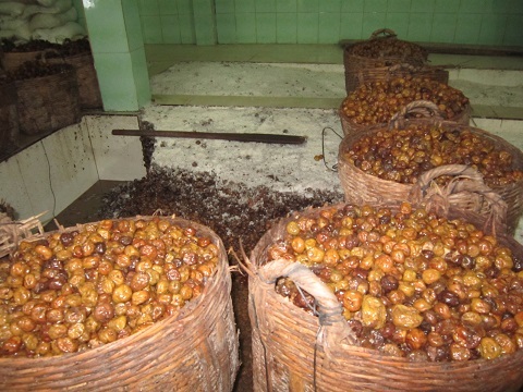 Kinh hãi mứt dừa làm từ dừa phế thải, ômai lẫn trong khói bụi - 2 Mứt dừa làm từ dừa phế thải, ômai lẫn trong khói bụi