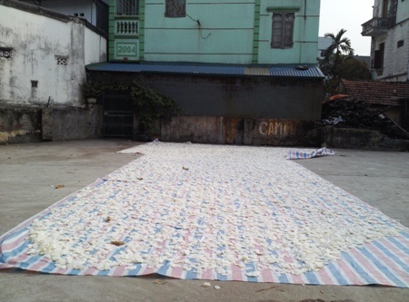 Mứt tết Xuân Đỉnh: Ruồi ăn trước, người ăn sau - 4 Đã là mứt Xuân Đỉnh thì có thể phơi bất kỳ chỗ nào nếu muốn...