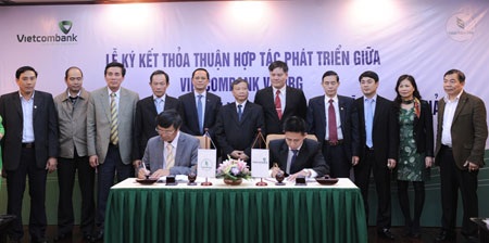 Vietcombank cấp thêm tín dụng cho VRG - 2 Vietcombank cấp thêm tín dụng cho VRG