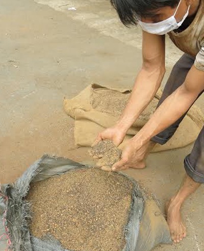 “Kho cà phê” cầm cố 7 ngân hàng: Bao nhiêu % là trấu, sỏi, đất? - 1 Có rất nhiều bao cà phê dỏm như thế này trong kho chứa 3.360 tấn của Trường Ngân vừa bị cưỡng chế.