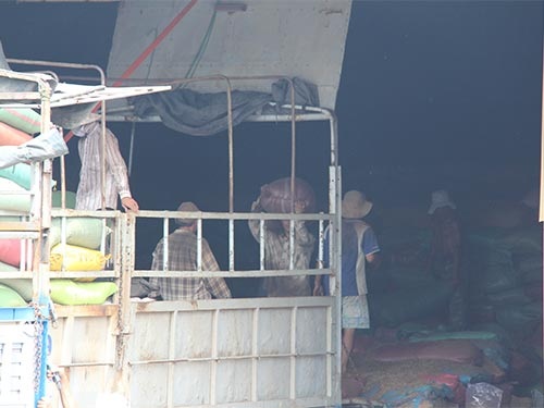 Vay ngân hàng: Voi chui lỗ kim - 1 Vay ngân hàng: Voi chui lỗ kim