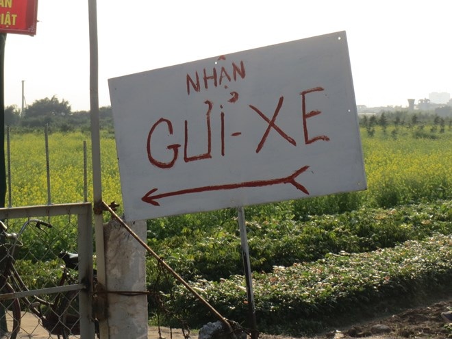Kiếm gần 10 triệu đồng/ngày nhờ dịch vụ... chụp ảnh vườn cải - 2 Trung tâm dịch vụ chụp ảnh