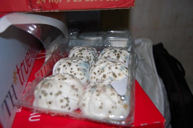 Bánh bao mốc xanh, thịt cá bốc mùi tại Co.opmart Hà Nội - 1 Bánh bao mốc xanh, đỏ phát hiện trong kho hàng