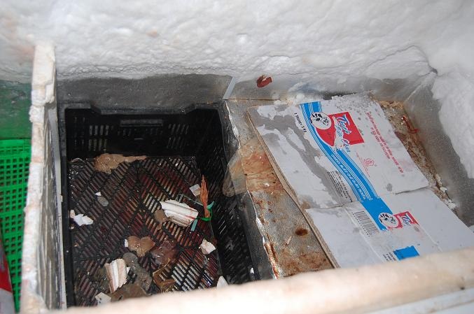 Bánh bao mốc xanh, thịt cá bốc mùi tại Co.opmart Hà Nội - 3 Tủ cấp đông bốc mùi, không đảm bảo ATTP