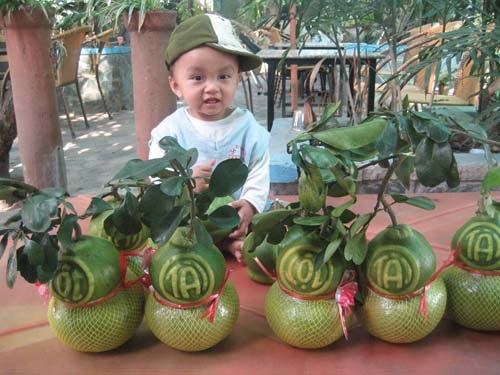 Chưa Tết, bưởi hồ lô đã “cháy” hàng - 2 Bưởi hồ lô có in hình “Tài- Lộc” giá cao hơn nhiều so với mọi năm nhưng vẫn không đủ hàng.