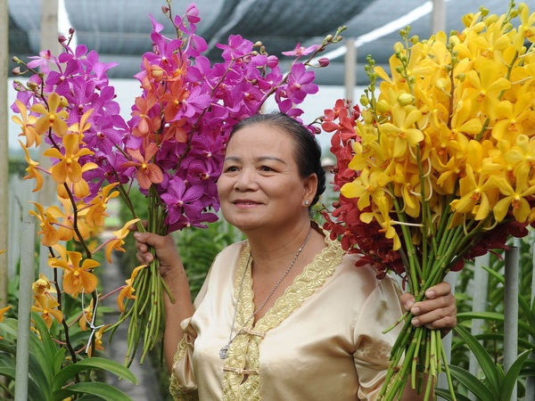 Trồng hoa lan cắt cành thu nhập 500 triệu đồng mỗi ha - 1 (Ảnh minh họa: Kim Phương/TTXVN)