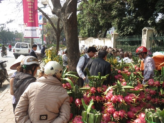 Thanh long “lộc phát” giá hàng triệu đồng hút hàng