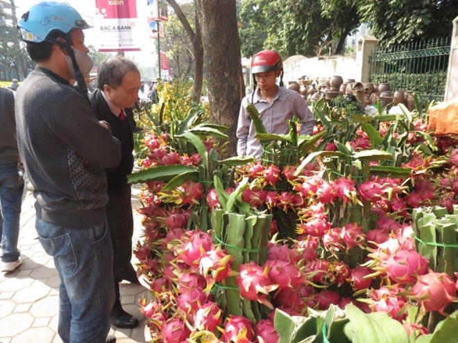 Thanh long “lộc phát” giá hàng triệu đồng hút hàng