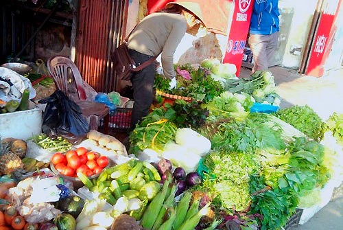 Chính vụ, giá rau xanh giảm mạnh - 1 Giá rau xanh tại các chợ hiện đã giảm khoảng 35%