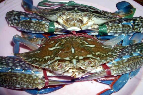 Mốt bán hộ, đi chợ hộ của chị em công sở - 1 Hải sản tươi sống cũng thường được nhiều người nhờ mua.