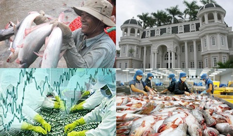 Chuyện đại gia Việt không ngán Mỹ - 1 Các đại gia thủy sản VN không ngán những rào cản trên thị trường Mỹ.