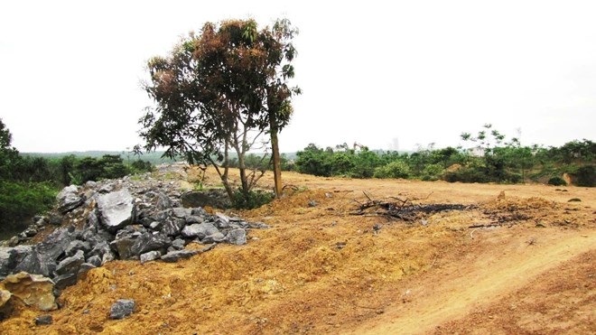 Khốn khổ vì “bê phẩy”