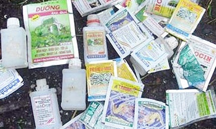 Hãi hùng rau “kích phọt” - 2 Một số nông dân đã dùng thuốc để kích thích rau tăng trưởng.